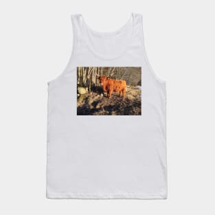 Scottish Highland Cattle Cow 2293 Tank Top